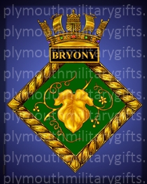 HMS Bryony Magnet